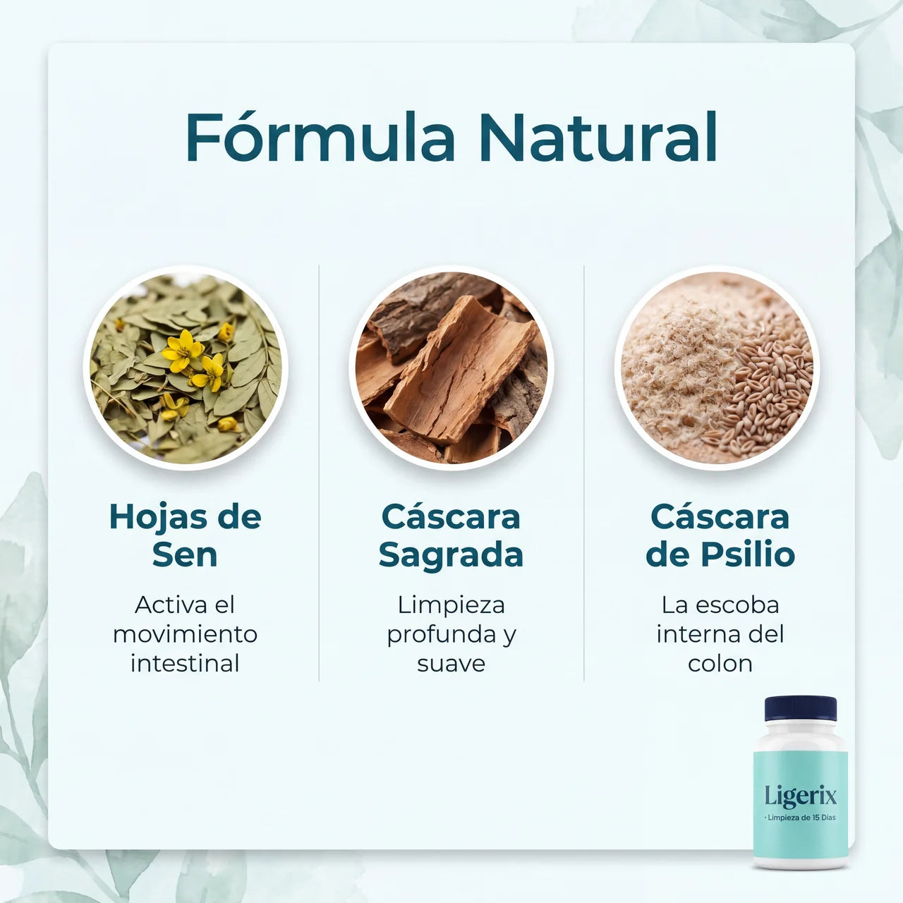 Ligerix® Reset Intestinal de 15 Días